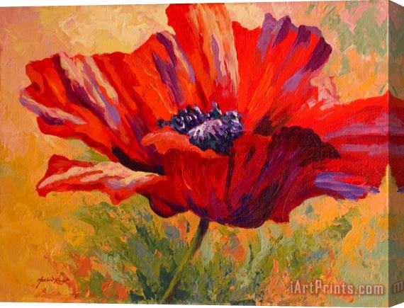Marion Rose Red Poppy II Stretched Canvas Painting / Canvas Art