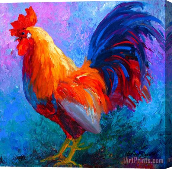 Marion Rose Rooster Bob Stretched Canvas Painting / Canvas Art