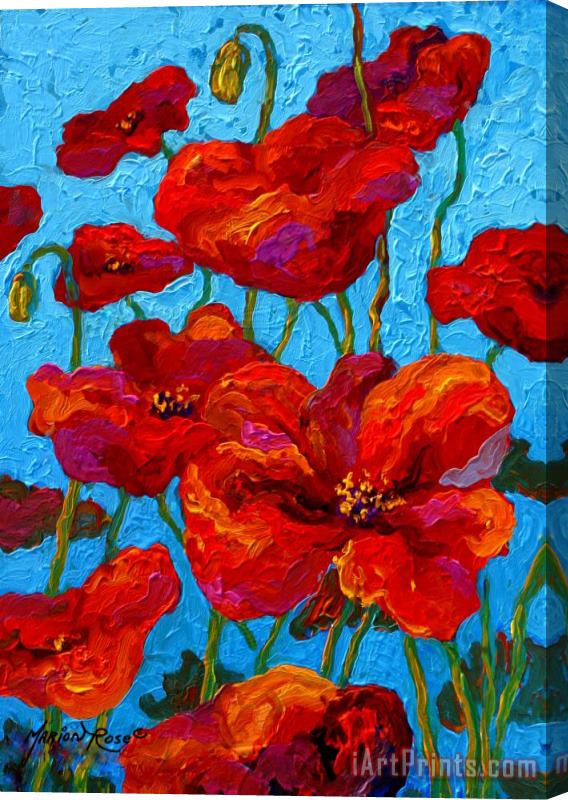 Marion Rose Spring Poppies Stretched Canvas Painting / Canvas Art