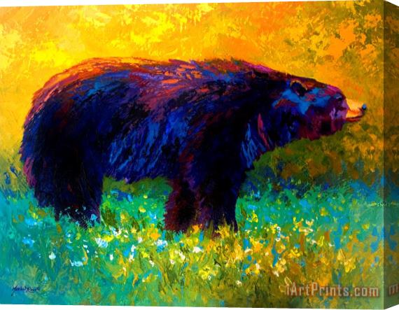 Marion Rose Spring Stroll - Black Bear Stretched Canvas Print / Canvas Art