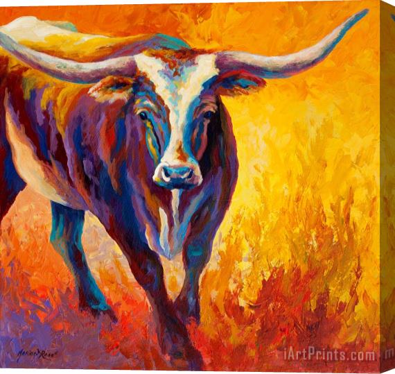 Marion Rose Stepping Out - Longhorn Stretched Canvas Print / Canvas Art