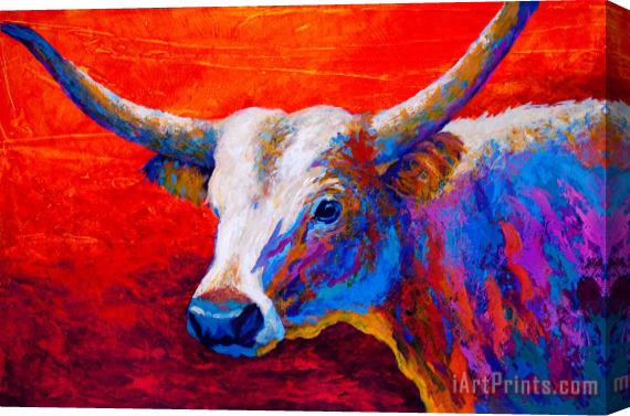Marion Rose Sunset Ablaze Stretched Canvas Print / Canvas Art
