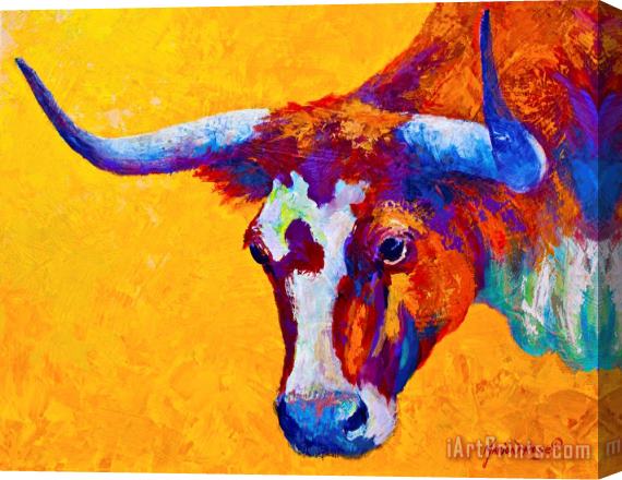 Marion Rose Texas Longhorn Cow Study Stretched Canvas Painting / Canvas Art