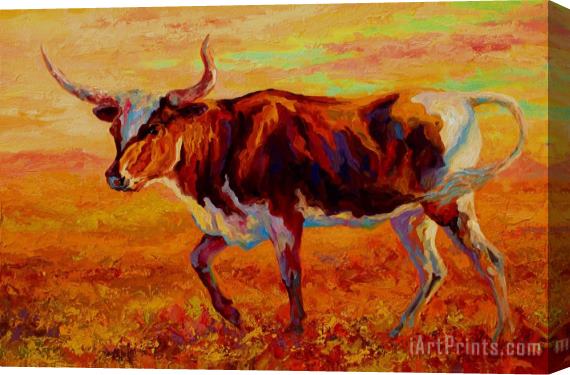 Marion Rose Texas Longhorn Stretched Canvas Painting / Canvas Art