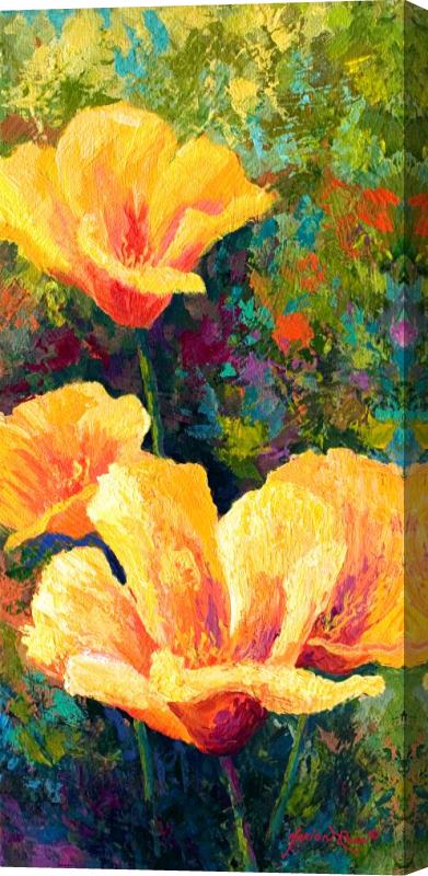 Marion Rose Yellow Field poppies Stretched Canvas Print / Canvas Art