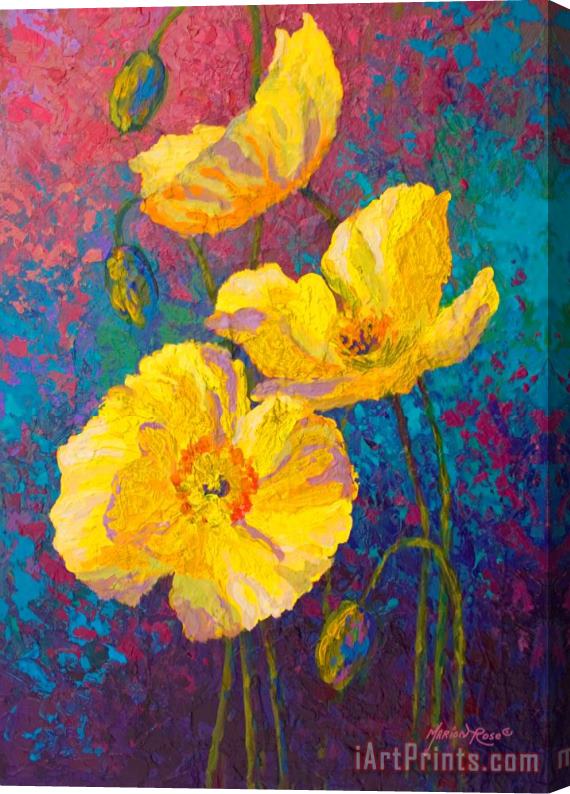 Marion Rose Yellow Poppies Stretched Canvas Painting / Canvas Art