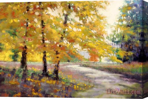 Marla Baggetta Marla Baggetta a Gentle Light Stretched Canvas Painting / Canvas Art