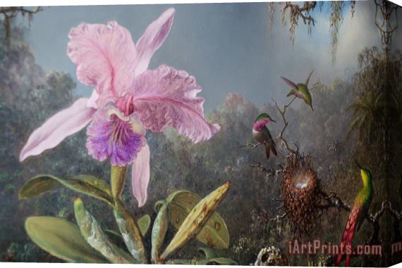 Martin Johnson Heade Cattleya Orchid And Three Hummingbirds Stretched Canvas Painting / Canvas Art