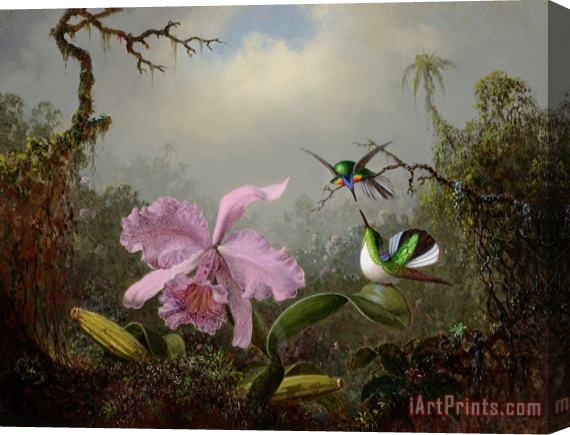Martin Johnson Heade Cattleya Orchid with Two Brazilian Hummingbirds, 1871 Stretched Canvas Painting / Canvas Art