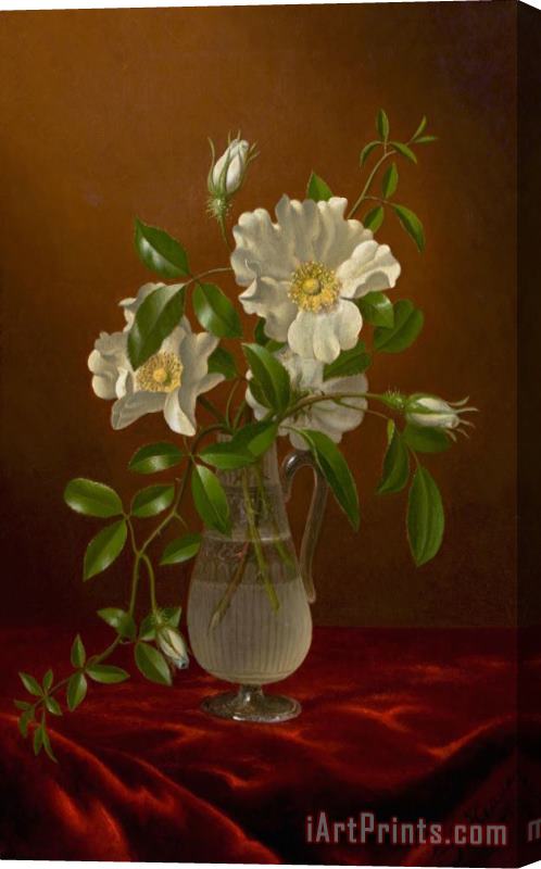 Martin Johnson Heade Cherokee Roses in a Glass Vase Stretched Canvas Painting / Canvas Art