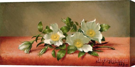 Martin Johnson Heade Cherokee Roses Stretched Canvas Print / Canvas Art