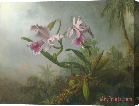 Martin Johnson Heade Pink Orchids And Hummingbird on a Twig Stretched Canvas Painting / Canvas Art