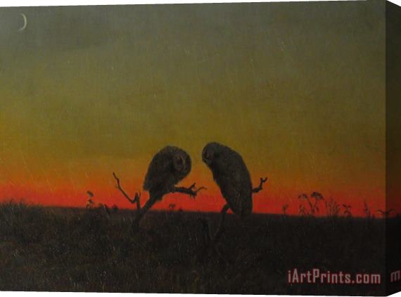 Martin Johnson Heade Two Owls at Sunset Stretched Canvas Painting / Canvas Art