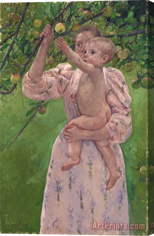 Mary Cassatt Child Picking a Fruit (enfant Cueillant Un Fruit) Stretched Canvas Painting / Canvas Art