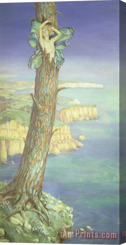 Maud Tindal Atkinson Ariel Stretched Canvas Painting / Canvas Art