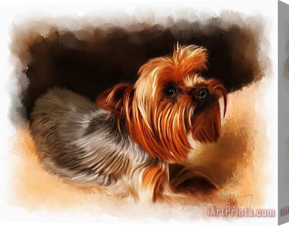 Michael Greenaway Cute Pet Dog Portrait Stretched Canvas Print / Canvas Art