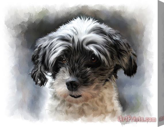 Michael Greenaway Pet Dog Portrait Stretched Canvas Print / Canvas Art