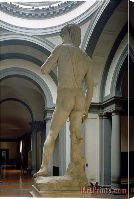 Michelangelo Buonarroti David View From Behind 1504 Stretched Canvas Painting / Canvas Art
