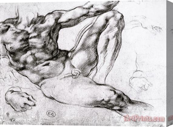 Michelangelo Buonarroti Study for The Creation of Adam Stretched Canvas Print / Canvas Art
