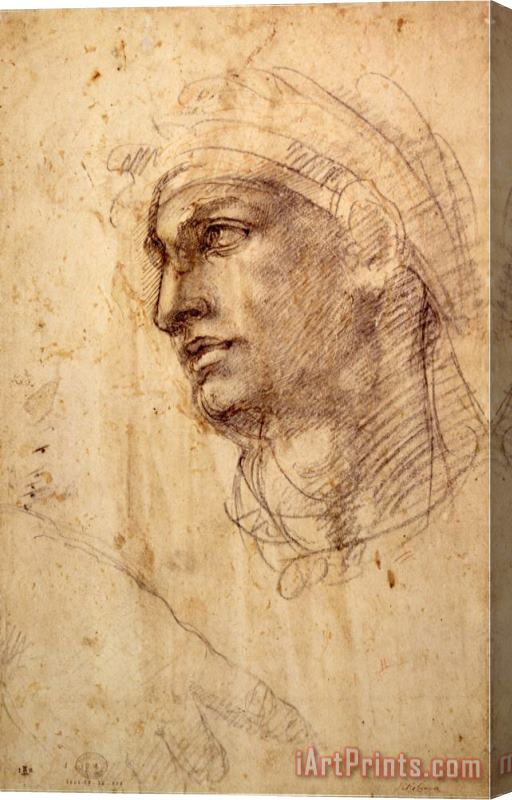 Michelangelo Buonarroti Study of a Head Charcoal Inv 1895 9 15 498 W 1 Stretched Canvas Painting / Canvas Art