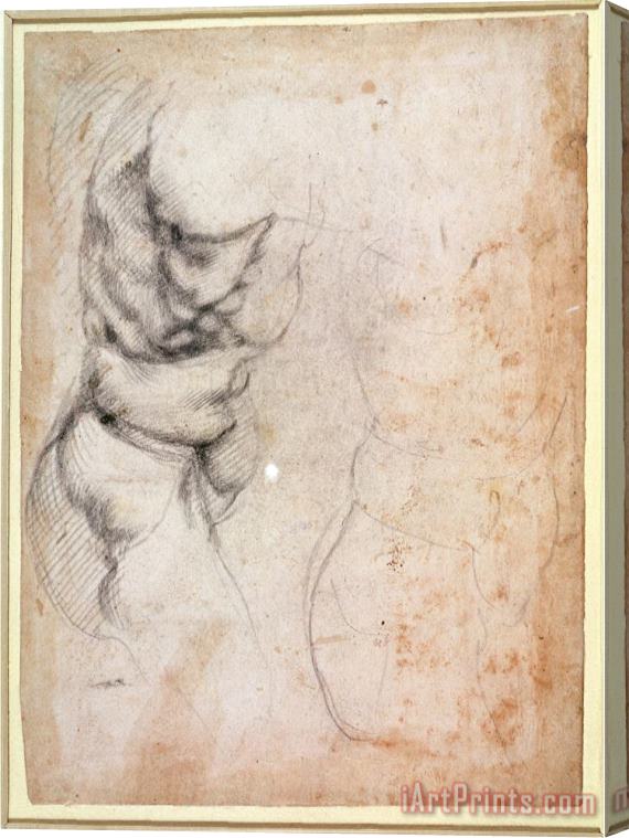 Michelangelo Buonarroti Study of Torso And Buttock Stretched Canvas Print / Canvas Art