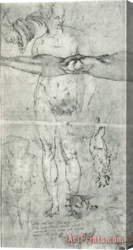 Michelangelo Various Studies Including a Tracing From The Other Side of The Sheet Stretched Canvas Print / Canvas Art