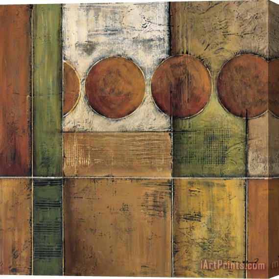 Mike Klung Diversity II Stretched Canvas Painting / Canvas Art