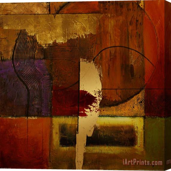 Mike Klung Opulent Relief II Stretched Canvas Print / Canvas Art