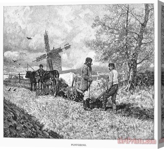 Others Canada: Farming, 1883 Stretched Canvas Painting / Canvas Art