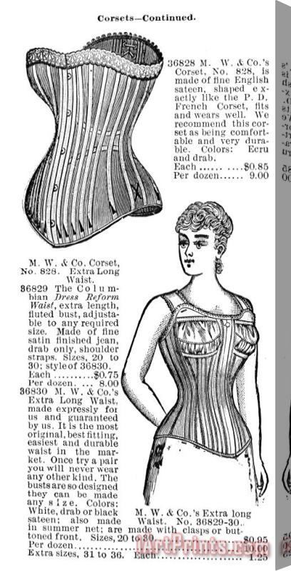 Others Corset Advertisement, 1895 Stretched Canvas Print / Canvas Art
