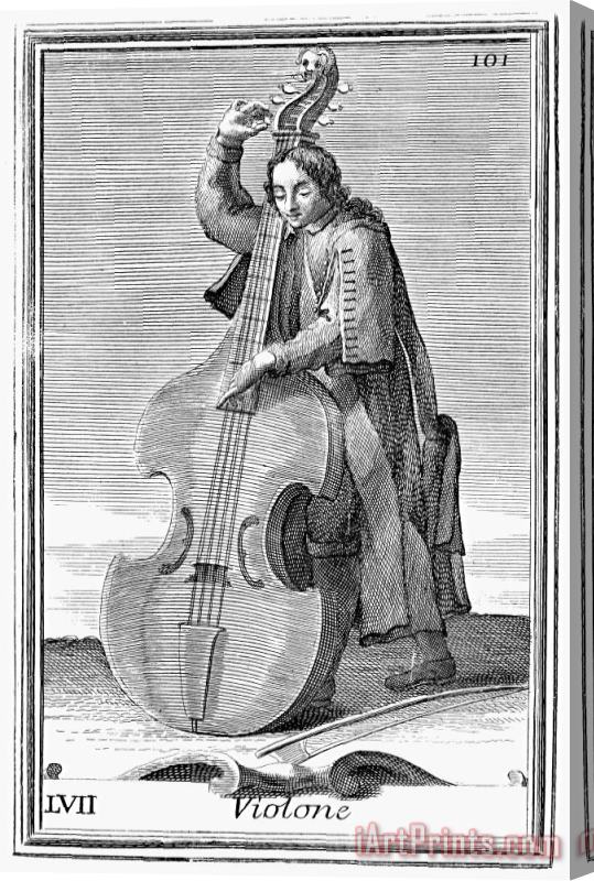 Others Double-bass Viol, 1723 Stretched Canvas Print / Canvas Art