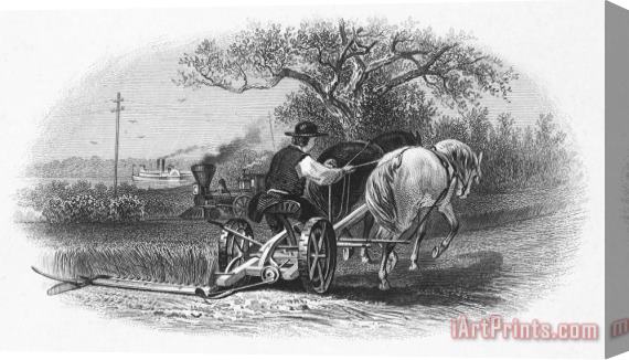 Others FARMING, c1870 Stretched Canvas Print / Canvas Art