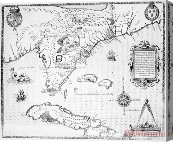 Others Florida: Map, 1591 Stretched Canvas Print / Canvas Art
