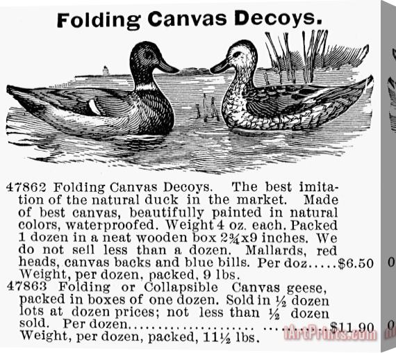 Others Hunting: Duck Decoy, 1895 Stretched Canvas Print / Canvas Art