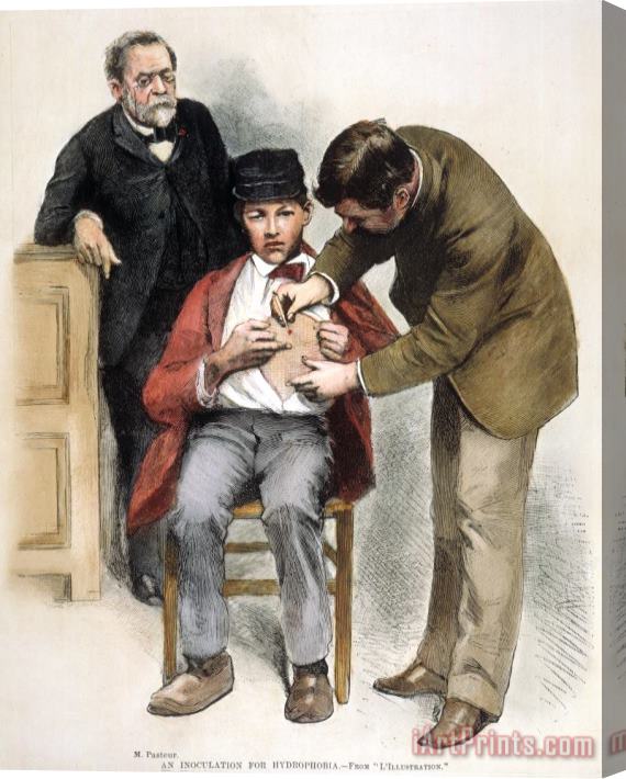 Others Louis Pasteur (1822-1895) Stretched Canvas Print / Canvas Art