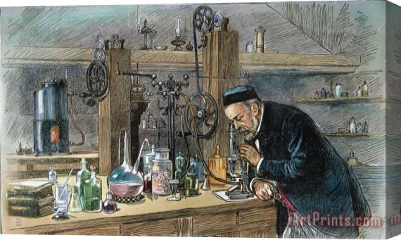 Others Louis Pasteur (1822-1895) Stretched Canvas Painting / Canvas Art