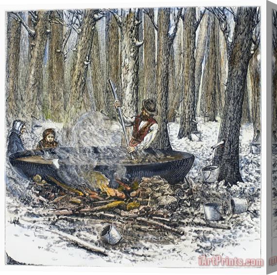 Others Maple Syrup, 1877 Stretched Canvas Print / Canvas Art