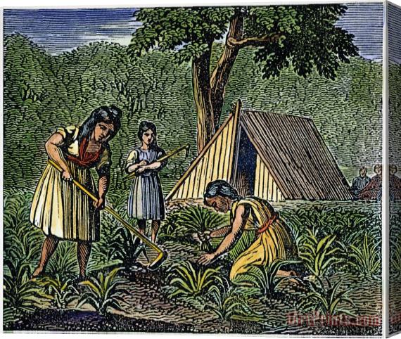 Others Native American Women: Farming, 1835 Stretched Canvas Print / Canvas Art