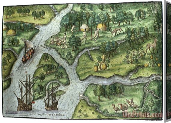 Others Ribault Expedition, 1562 Stretched Canvas Print / Canvas Art