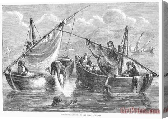 Others Syria: Sponge Divers, 1862 Stretched Canvas Painting / Canvas Art
