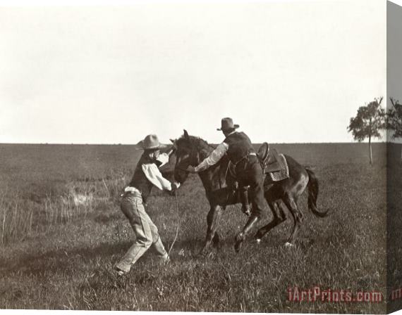 Others TEXAS: COWBOYS, c1908 Stretched Canvas Print / Canvas Art