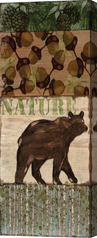 Paul Brent Nature Trail Iv Stretched Canvas Print / Canvas Art