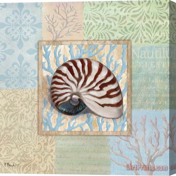 Paul Brent Oceanic Shell Collage III Stretched Canvas Painting / Canvas Art