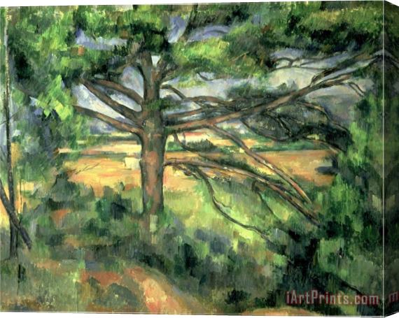 Paul Cezanne The Large Pine 1895 97 Stretched Canvas Print / Canvas Art