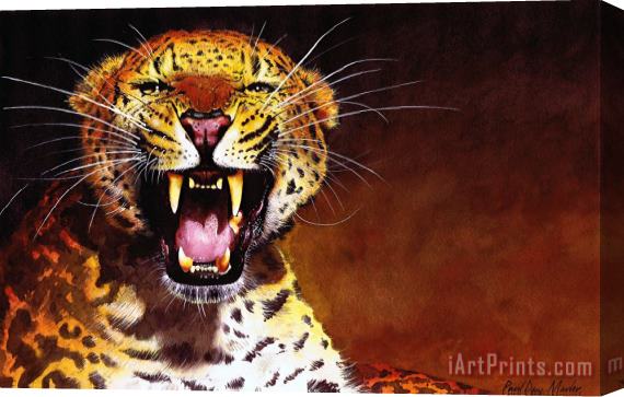 Paul Dene Marlor Leopard Stretched Canvas Print / Canvas Art