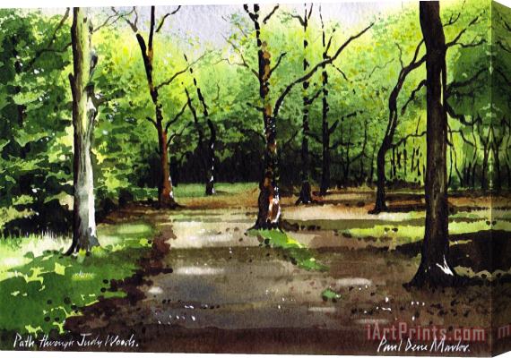 Paul Dene Marlor Path Through Judy Woods Stretched Canvas Print / Canvas Art