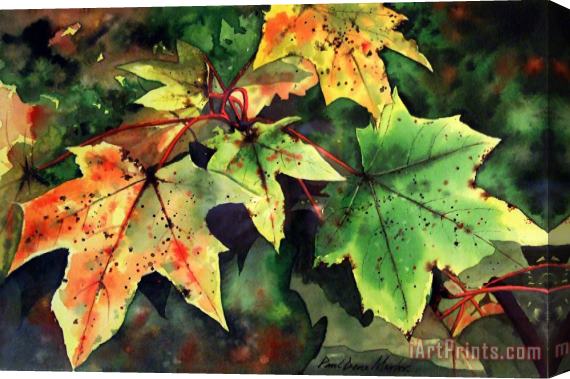 Paul Dene Marlor Sycamore Leaves Stretched Canvas Print / Canvas Art
