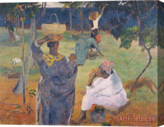 Paul Gauguin Among The Mangoes at Martinique Stretched Canvas Print / Canvas Art