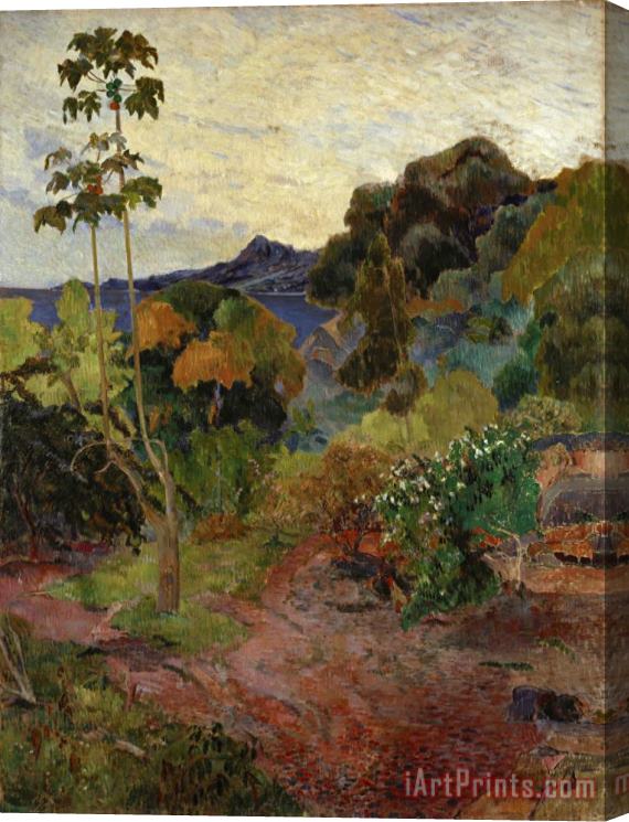 Paul Gauguin Martinique Landscape Stretched Canvas Painting / Canvas Art
