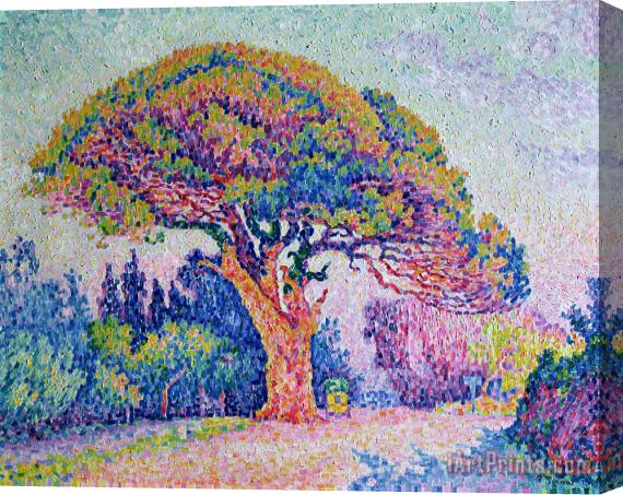 Paul Signac The Pine Tree at Saint Tropez Stretched Canvas Painting / Canvas Art